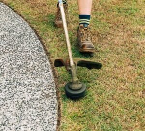 Whipper Snipping Lawn